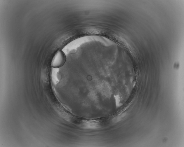 X0000096400359200802071606