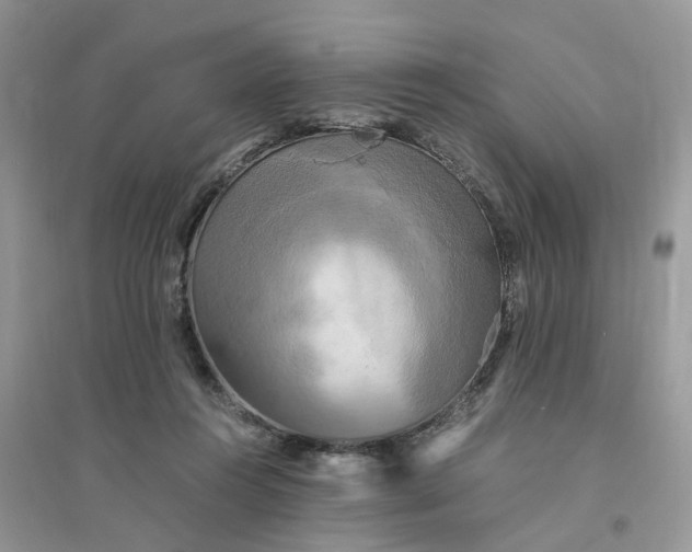 X0000096400360200802071606