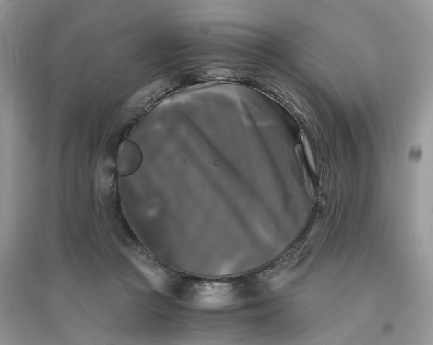 X0000096400361200802071606