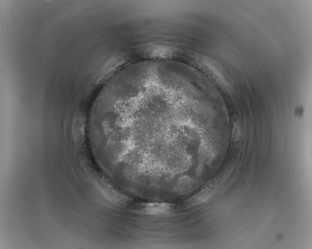 X0000096400363200802071606