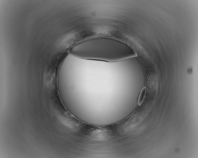 X0000096400364200802071606