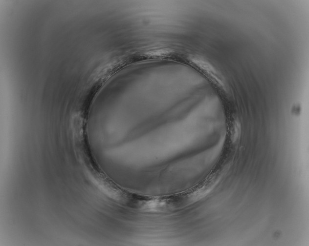 X0000096400366200802071606