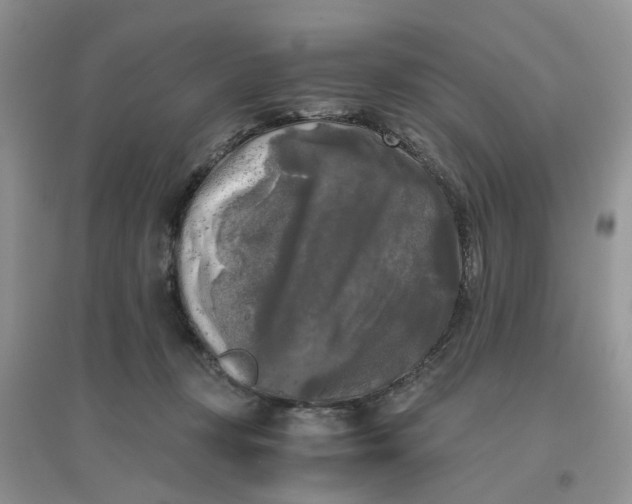 X0000096400367200802071606