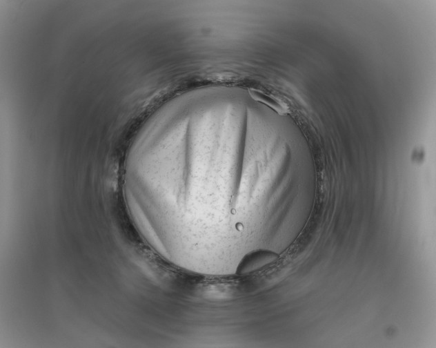 X0000096400368200802071606