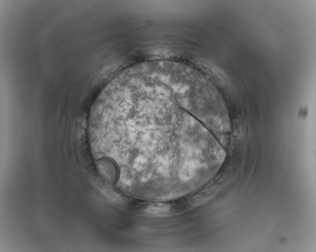 X0000096400369200802071606