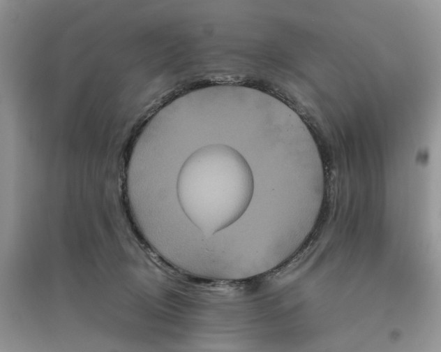 X0000096400370200802071606