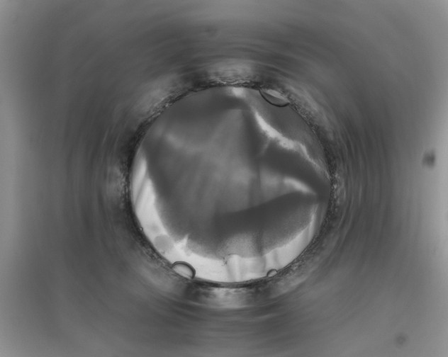 X0000096400371200802071606