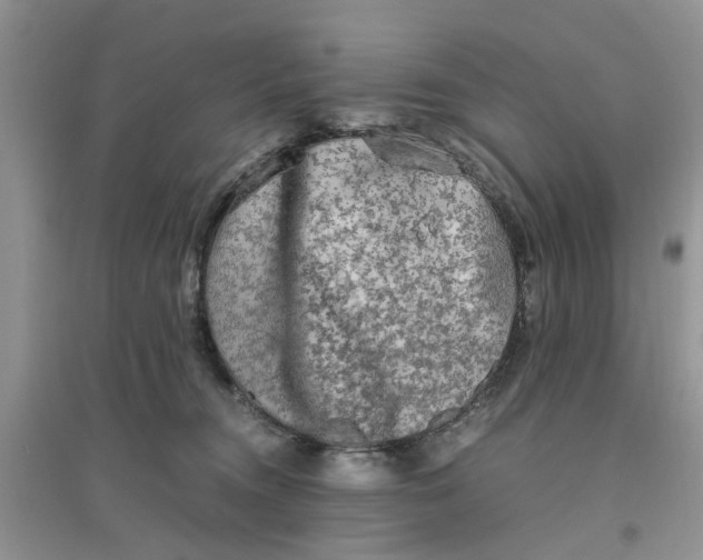 X0000096400372200802071606