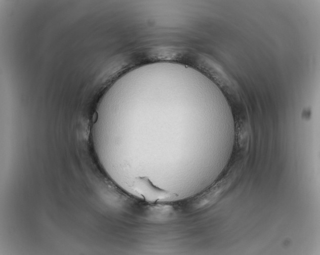 X0000096400374200802071606