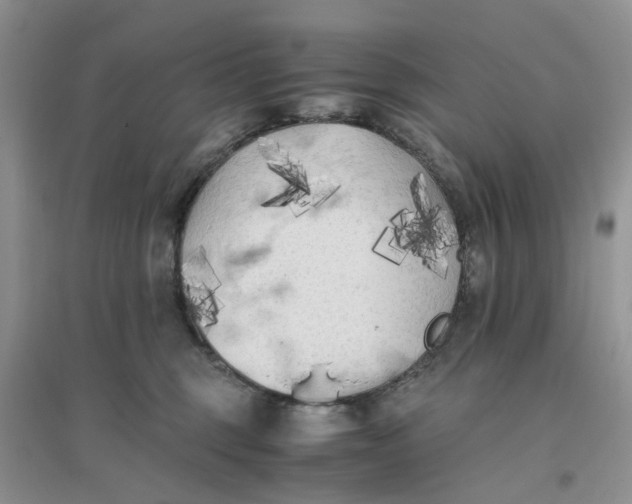 X0000096400375200802071606