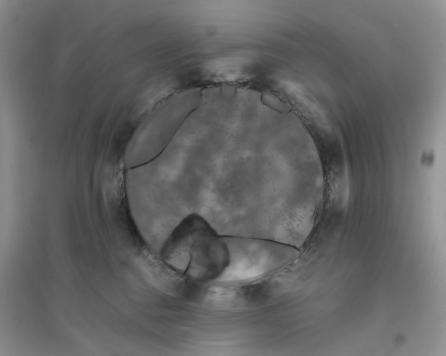 X0000096400376200802071606