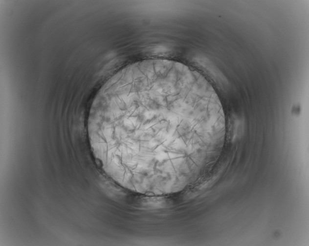 X0000096400377200802071606