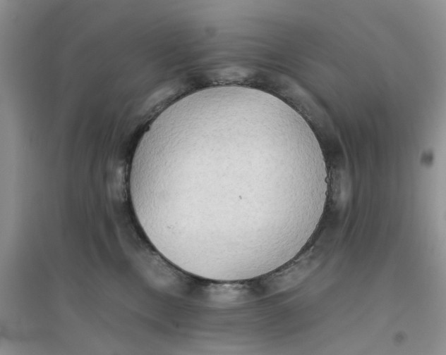 X0000096400378200802071606