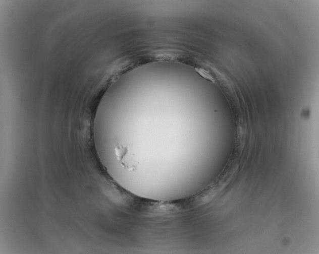 X0000096400379200802071606