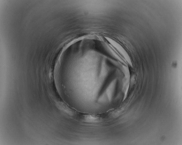 X0000096400380200802071606