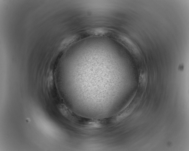 X0000096400381200802071606