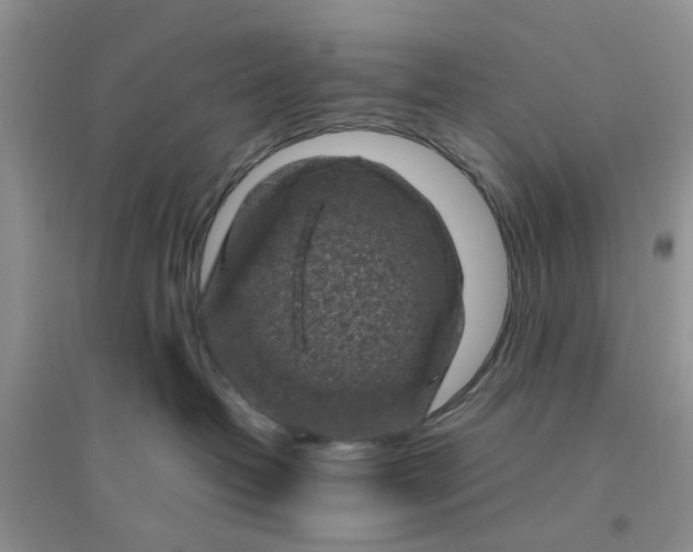 X0000096400382200802071606