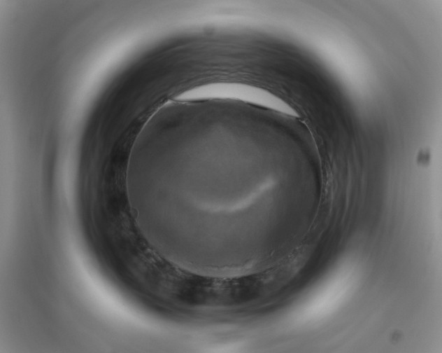 X0000096400383200802071606