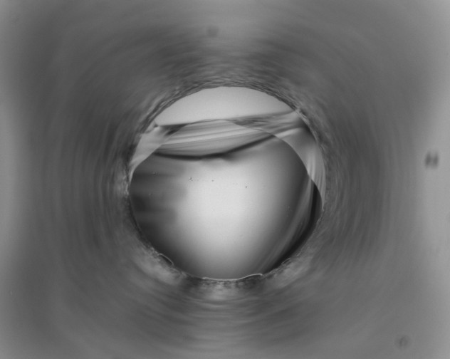 X0000096400384200802071606