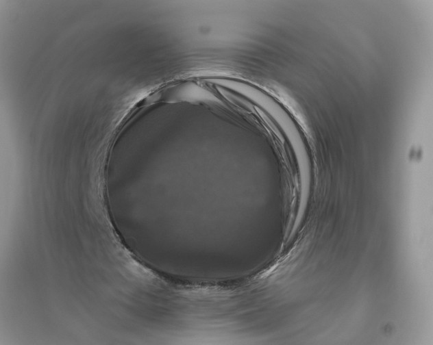 X0000096400385200802071605