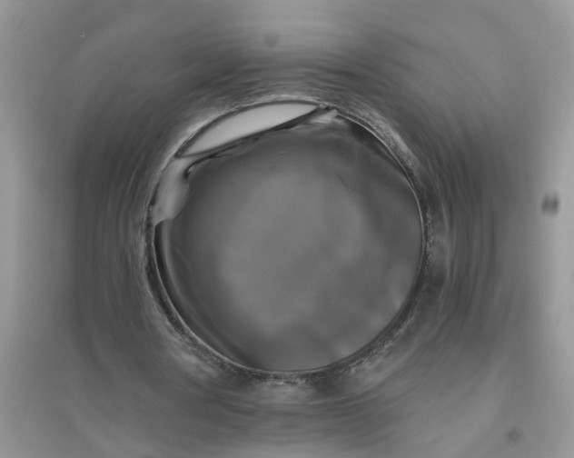 X0000096400386200802071605