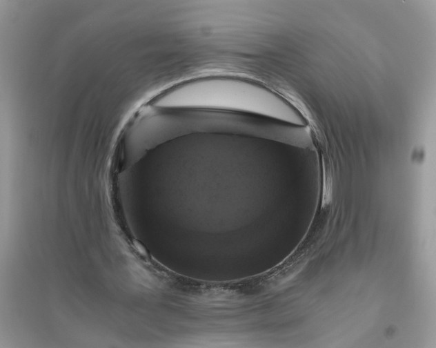 X0000096400387200802071605