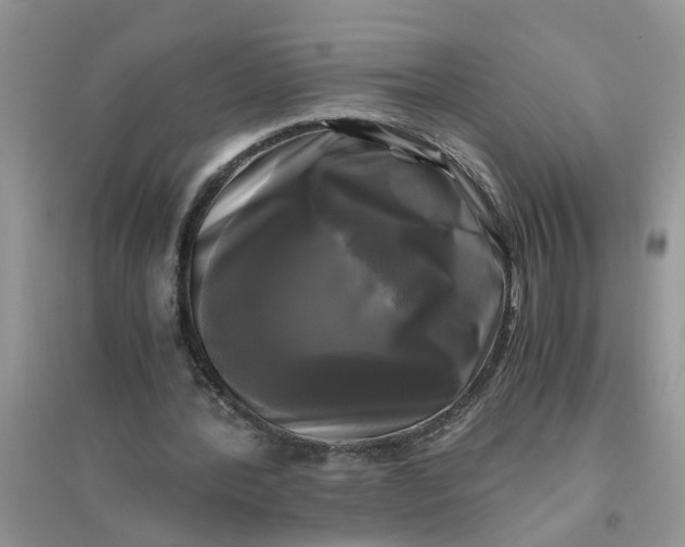 X0000096400388200802071605