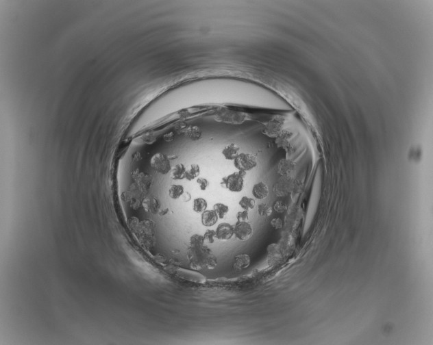 X0000096400389200802071605