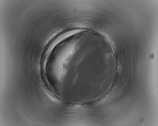 X0000096400390200802071605