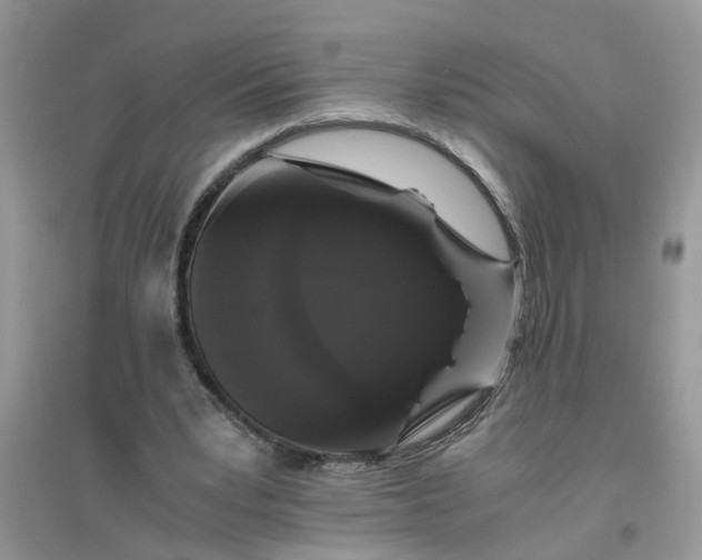 X0000096400391200802071605