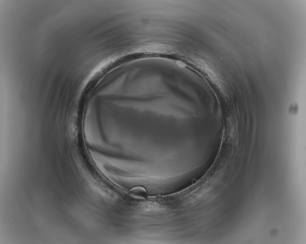 X0000096400392200802071605