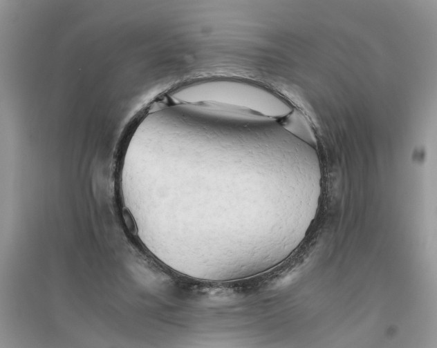 X0000096400395200802071605