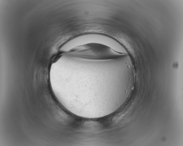 X0000096400397200802071605