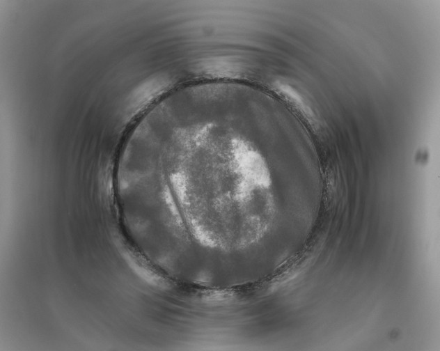 X0000096400398200802071605