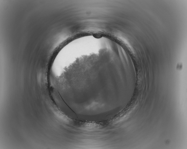 X0000096400399200802071605