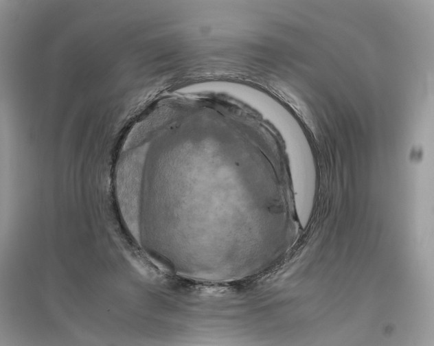 X0000096400401200802071605