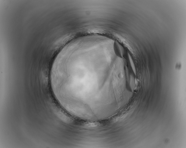 X0000096400402200802071605