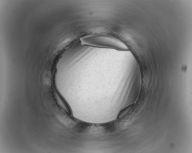 X0000096400403200802071605