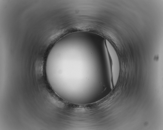 X0000096400404200802071605