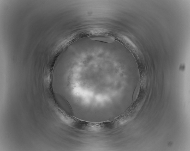 X0000096400405200802071605