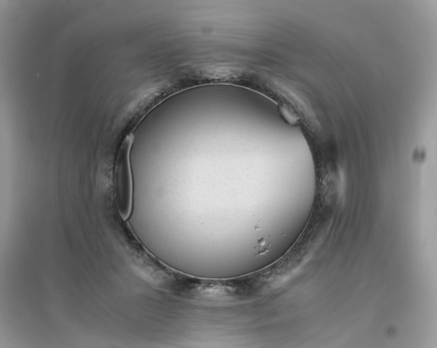 X0000096400407200802071605