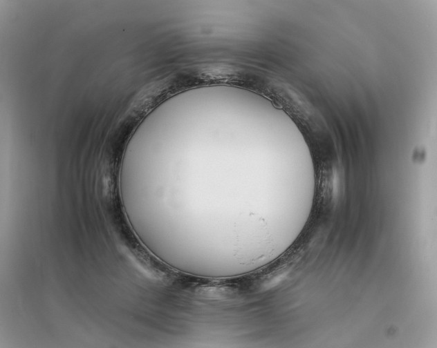 X0000096400408200802071605