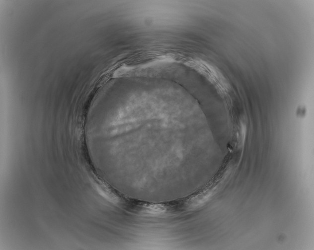 X0000096400409200802071605