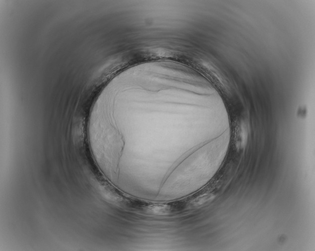 X0000096400410200802071605