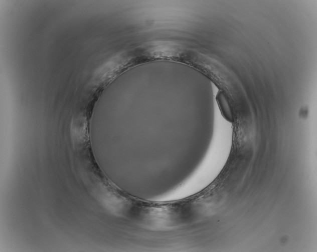 X0000096400411200802071605