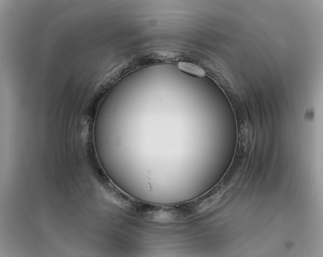 X0000096400412200802071605