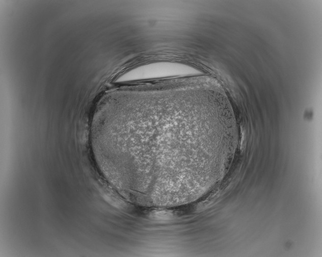 X0000096400413200802071605