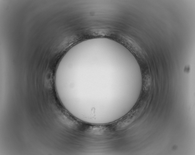 X0000096400414200802071605