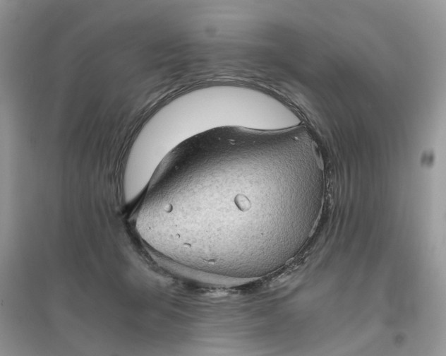 X0000096400415200802071605