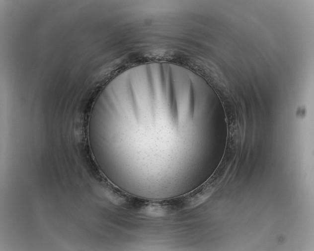 X0000096400416200802071605